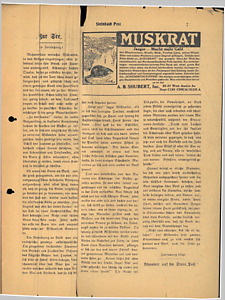 16255-Thumbnail Image.jpg