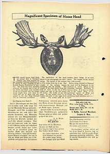 19413-Thumbnail Image.jpg