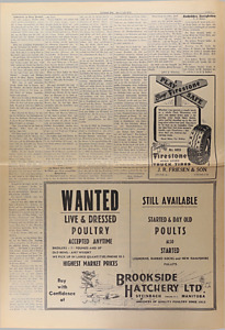 22867-Thumbnail Image.jpg