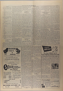 26540-Thumbnail Image.jpg