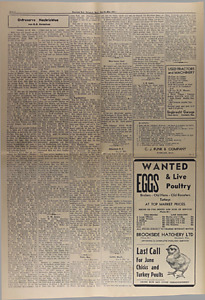 26586-Thumbnail Image.jpg