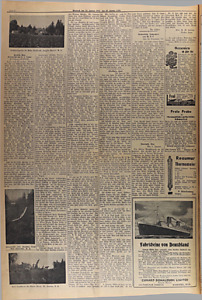 25950-Thumbnail Image.jpg