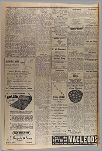 25952-Thumbnail Image.jpg