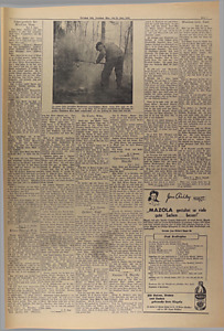 29917-Thumbnail Image.jpg