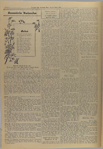 31666-Thumbnail Image.jpg