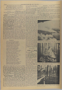 31784-Thumbnail Image.jpg