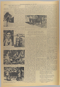 31801-Thumbnail Image.jpg