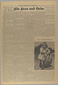 31954-Thumbnail Image.jpg
