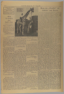 32150-Thumbnail Image.jpg