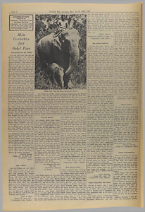 32388-Thumbnail Image.jpg