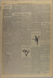 32530-Thumbnail Image.jpg