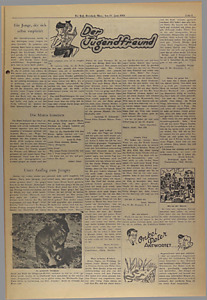 33187-Thumbnail Image.jpg