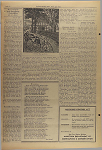 33270-Thumbnail Image.jpg