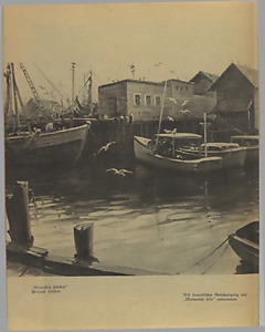 34001-Thumbnail Image.jpg