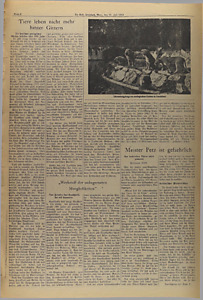 34061-Thumbnail Image.jpg
