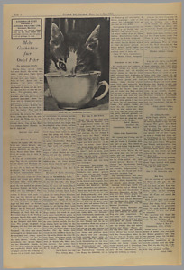 34633-Thumbnail Image.jpg