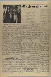 34982-Thumbnail Image.jpg