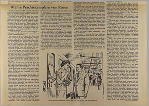 40076-Thumbnail Image.jpg