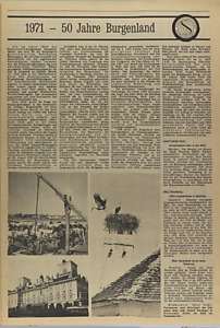 40261-Thumbnail Image.jpg