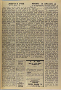 40269-Thumbnail Image.jpg