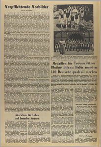 40311-Thumbnail Image.jpg
