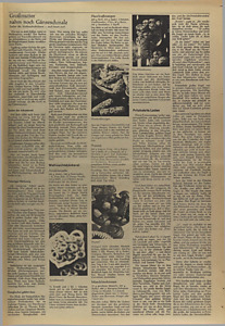 40367-Thumbnail Image.jpg