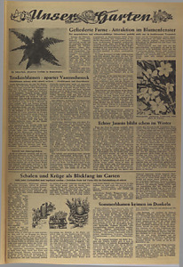 41092-Thumbnail Image.jpg