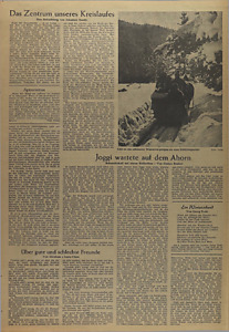 41095-Thumbnail Image.jpg