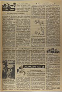 41109-Thumbnail Image.jpg