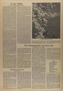 41257-Thumbnail Image.jpg