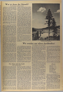 41365-Thumbnail Image.jpg