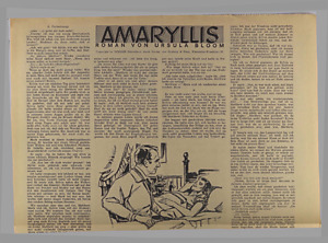 41826-Thumbnail Image.jpg