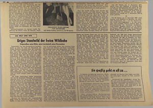 41828-Thumbnail Image.jpg