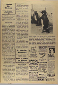 42293-Thumbnail Image.jpg