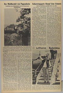 42578-Thumbnail Image.jpg