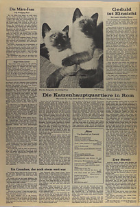 42925-Thumbnail Image.jpg