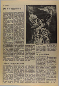 42956-Thumbnail Image.jpg