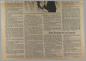 42958-Thumbnail Image.jpg