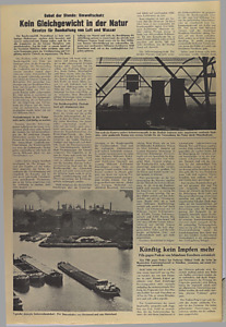 43186-Thumbnail Image.jpg