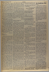 43383-Thumbnail Image.jpg