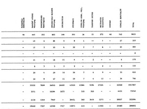 45102-Thumbnail Image.jpg
