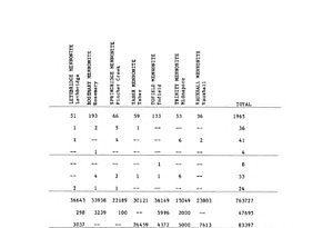 46385-Thumbnail Image.jpg