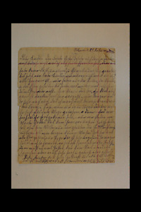 49095-Thumbnail Image.jpg