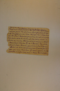 49216-Thumbnail Image.jpg