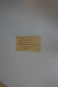 49385-Thumbnail Image.jpg