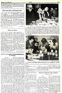 50056-Thumbnail Image.jpg