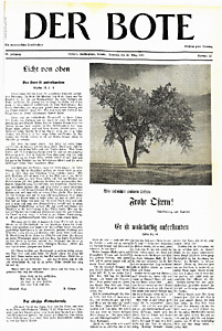 50067-Thumbnail Image.jpg