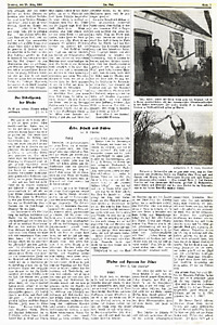 50069-Thumbnail Image.jpg