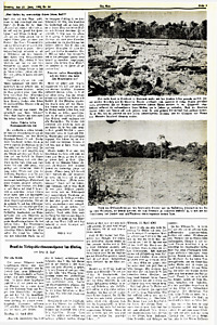 50199-Thumbnail Image.jpg
