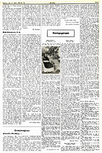 50203-Thumbnail Image.jpg